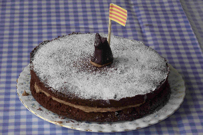 Chocolate Sponge Cake with Cat and Catalonia Flag