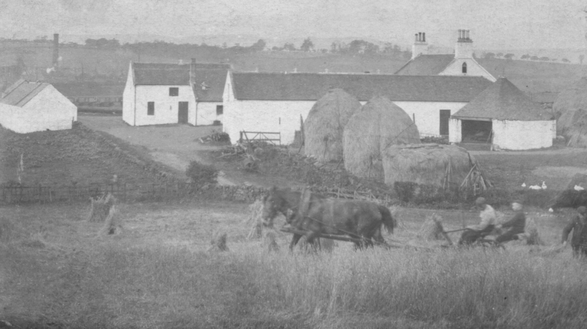 old farmyard, hay ricks and horses