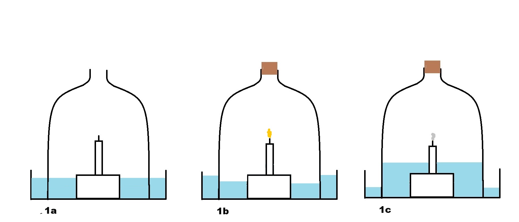 classic oxygen consumption experiment
