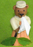 sad model bear with hankerchief and two leaves